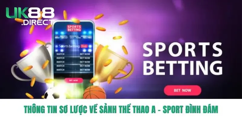 Thông tin sơ lược về sảnh thể thao A-Sport đình đám