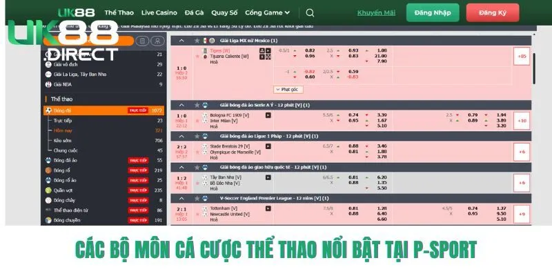 Các bộ môn cá cược thể thao nổi bật tại P-sport 