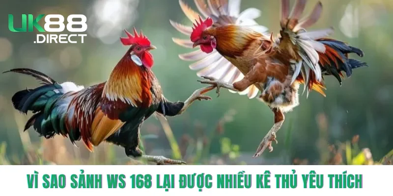 Vì sao sảnh WS 168 lại được nhiều kê thủ yêu thích